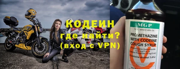 прущие грибы Арсеньев