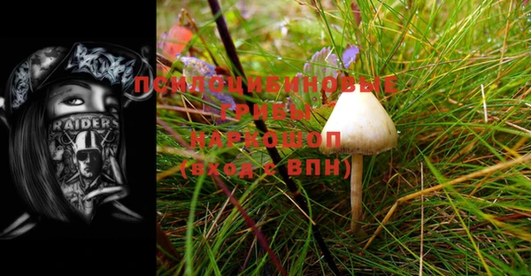 прущие грибы Арсеньев