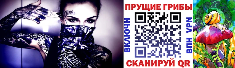 купить  сайты  Кущёвская  Галлюциногенные грибы GOLDEN TEACHER 