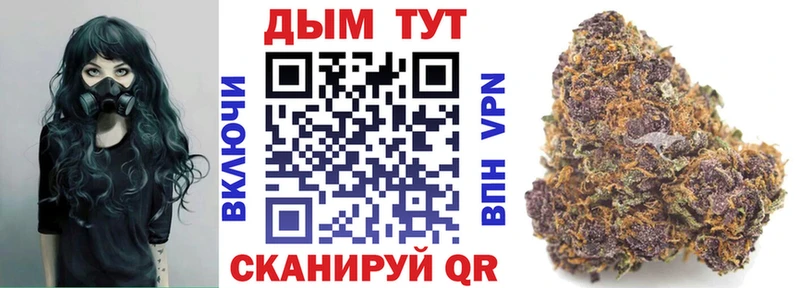 где продают наркотики  Кущёвская  Каннабис план 